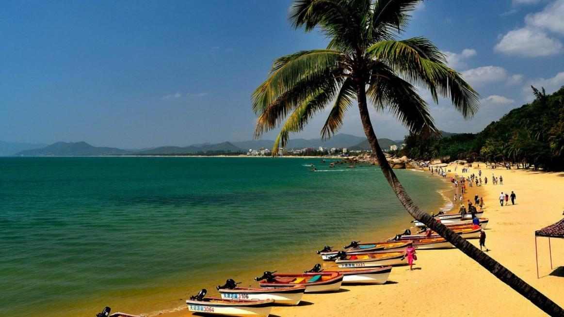 海南,嘉宾云集,观众热情洋溢